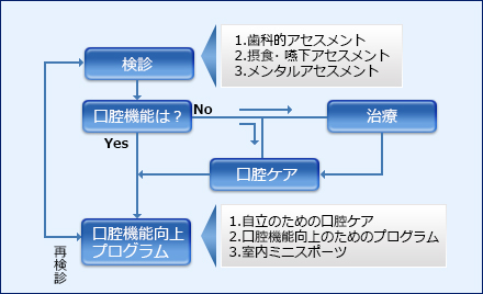 口腔機能向上のための循環画像